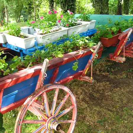 Odessos Park アパート *